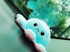 -HONGA HONGA雄家(曹路店)