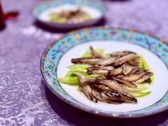 -新光酒家·河豚·海鲜·蟹料理(浦东店)