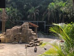 -广东茂名森林公园