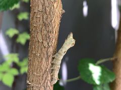 -马路边边 传媒大学店