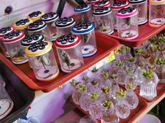 -国家植物园(地铁站)