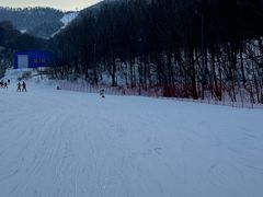 -亚布力新体委滑雪场