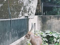 -广州动物园