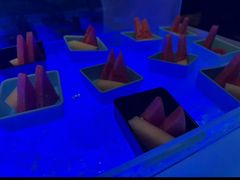 -福州天元国际威斯汀酒店·中国元素餐厅