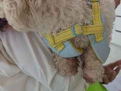 -美联众合动物医院·24h京西诊疗中心