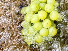 -大泽山风景名胜区