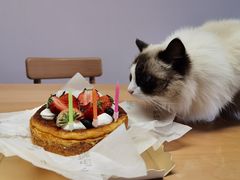 -小西家作(富力爱丁堡店)