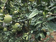 -漩门湾国家湿地公园