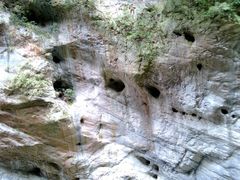-太鲁阁公园