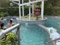 -碧水湾温泉