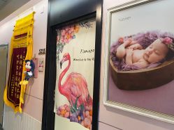 -诗安国际母婴会所 月子会所中心(市政府店)