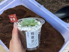 -重庆海昌加勒比海水世界