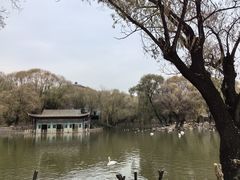 -石家庄市动物园