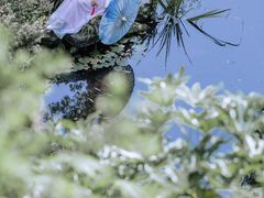-南山植物园