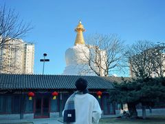 -护国法轮寺