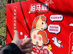 -龙湾潭国家森林公园