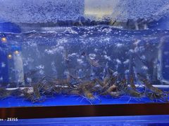 -罗氏十三活虾餐厅(光谷K11购物艺术中心店)