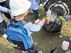 -前小桔亲子创意农场·草莓采摘·露营烧烤