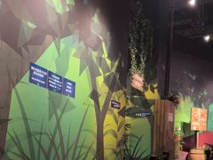 -珠海横琴国家地理探险家中心(创新方)