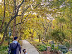 -东湖落雁景区