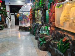 -上海昆虫博物馆