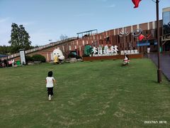 -黄海国家森林公园