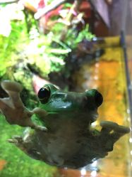 -酷嗒动物文化乐园(cutezoo西溪乐天城店)