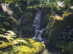 -Chom Cafe and Restaurant