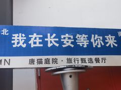 -唐猫庭院·千年陕菜(大唐不夜城店)