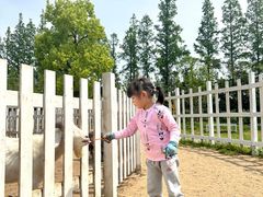 -前小桔亲子创意农场·草莓采摘·露营烧烤