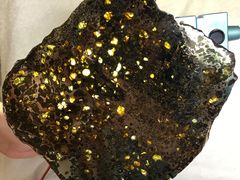 -志强陨石馆(双季花艺店)