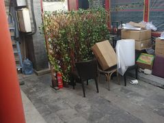 -百好乐宠物友好餐厅(朝外大街店)