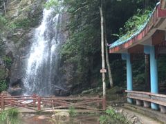 -江西阳明山国家森林公园