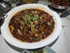 -新概念来凤鱼(璧山店)