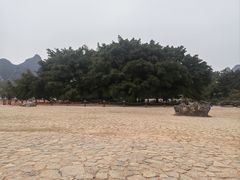 -桂林两江四湖景区