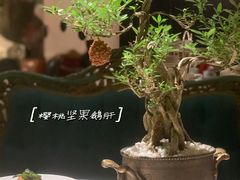 -西郊5号·Maggie 5