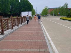 -安徽新华学院