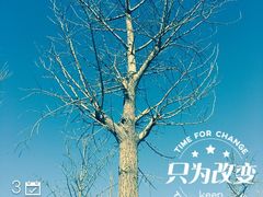 -巴依兄弟西域美食(机场店)