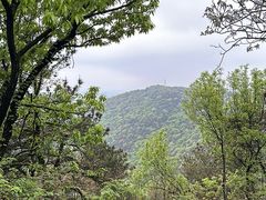 -宝岩生态观光园