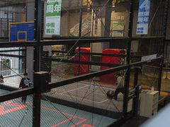 -运动派(北京店)