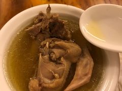 -百利鸽王(紫薇路店)