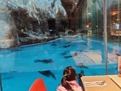 -帝企鹅自助餐厅•儿童岛•真企鹅(长隆企鹅酒店)