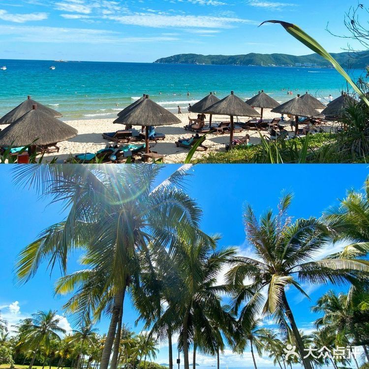 三亚热门婚礼场地推荐|三亚海棠湾喜来登度假酒店