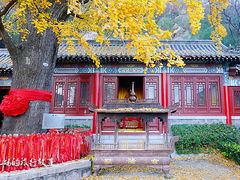 -竹子庵公园