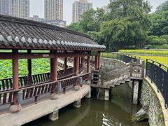 -龙头寺公园