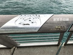 -星光大道