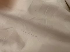 -上海浦东嘉里大酒店