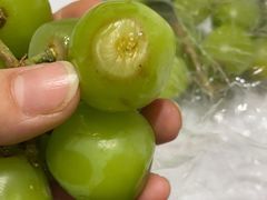 -沈阳市八家子水果批发市场