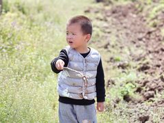 -菊园百果园