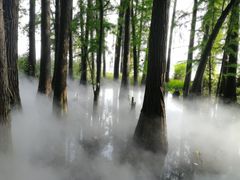 -东湖落雁景区